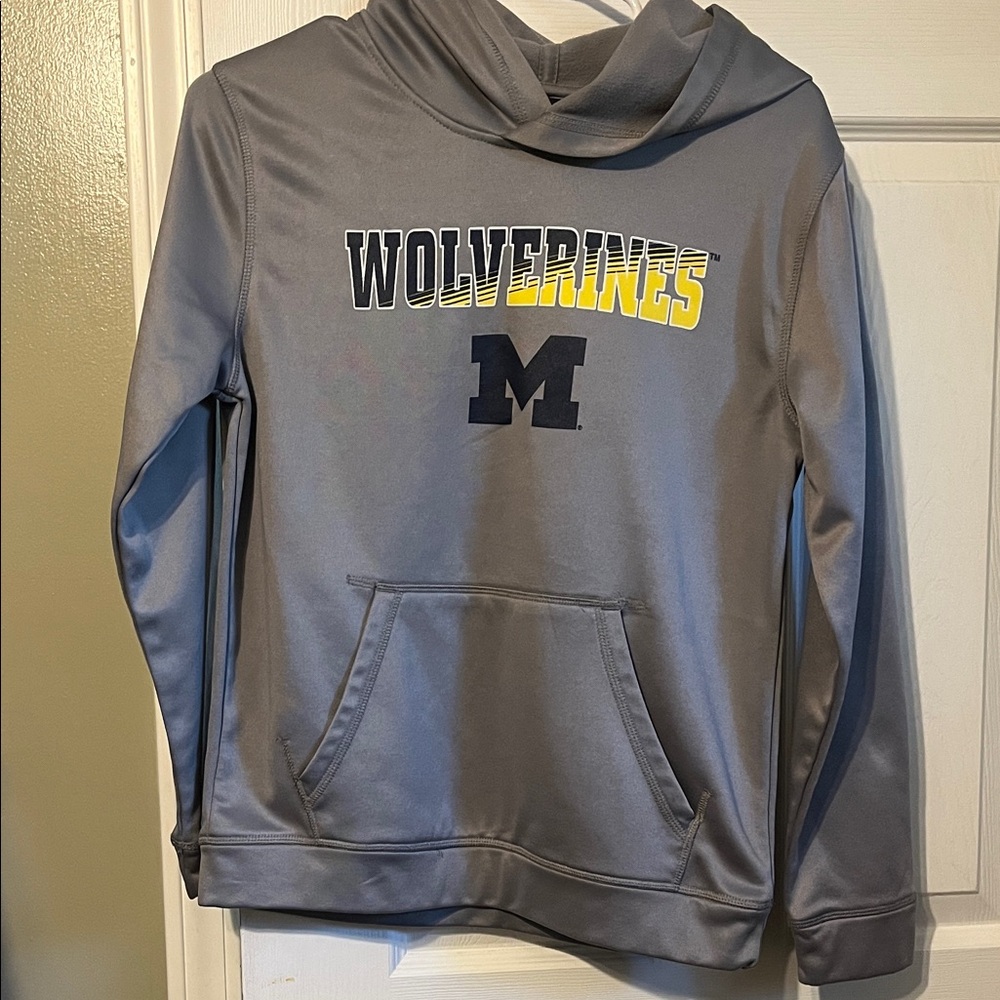 Gray Boys Michigan Wolverines Hoodie